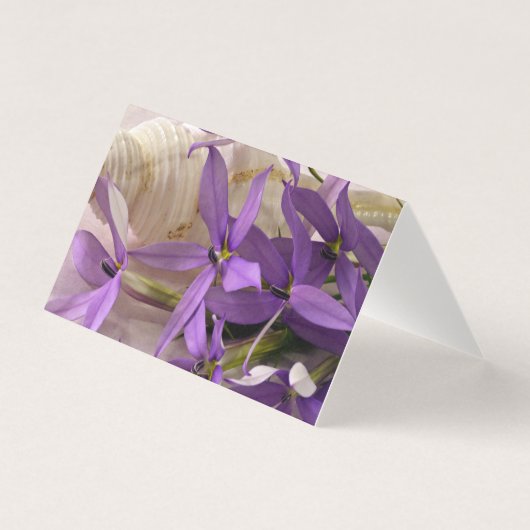 Mauve Starshine Laurentia Card (Vorderseite)