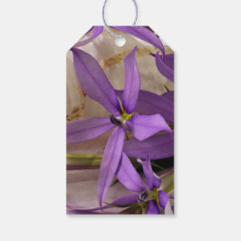 Mauve Starshine Laurentia Gift Tags Geschenkanhänger