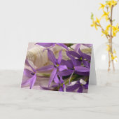 Mauve Starshine Laurentia Karte (Gelbe Blume)