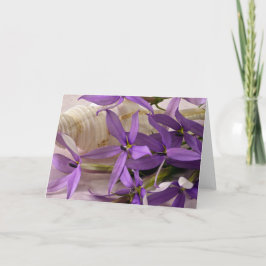 Mauve Starshine Laurentia Karte