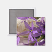 Mauve Starshine Laurentia Magnet (Vorderseite/Rückseite)