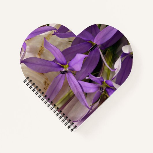 Mauve Starshine Laurentia Notizblock (Vorderseite)
