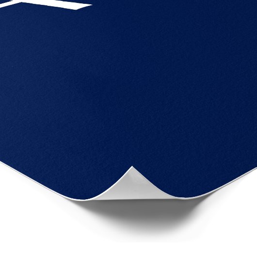 Maverick/Sarahcuda '08 Poster (Ecke)