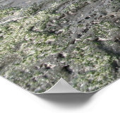 Mavericks Poster (Ecke)