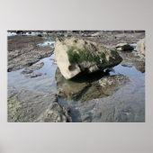 Mavericks Poster (Vorne)