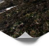 Mavericks Poster (Ecke)