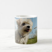 Max. Bedrohung 1 Kaffeetasse (Mittel)