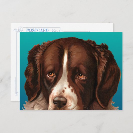 Max der Big Dog Postkarte (Vorne/Hinten)