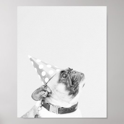 Max der französische Bulldog Poster (Vorne)