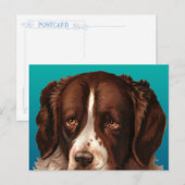 Max der große Hund Postkarte (Vorne/Hinten)