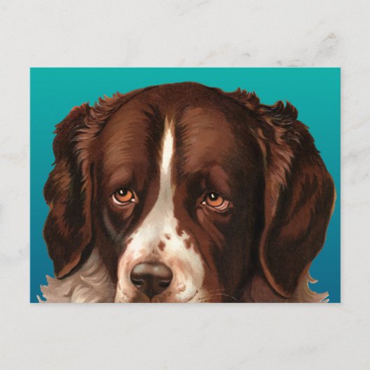 Max der große Hund Postkarte (Vorderseite)