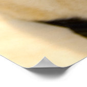 Max des Mops Poster (Ecke)