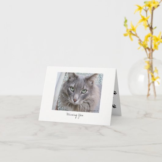 Max. Katze #5 Karte (Gelbe Blume)