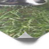 MAX MOLLY POSTER (Ecke)