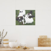 MAX MOLLY POSTER (Küche)