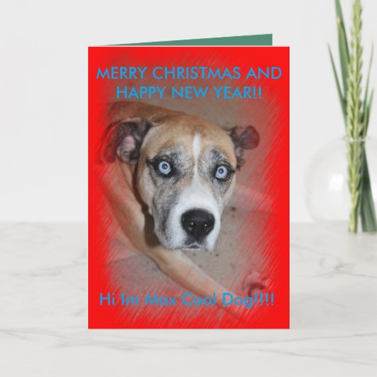 Max Pet Dog Weihnachtskarte Feiertagskarte (Vorderseite)