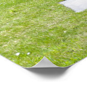 Max-Planck-Statue in Berlin Poster (Ecke)