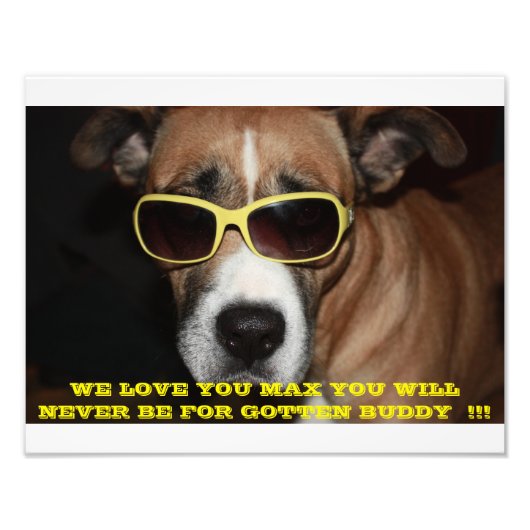 MAX REMEMBRANCE FOTO (Vorne)