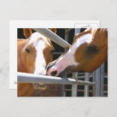 Max & Son Leonardo Postkarte (Vorne/Hinten)