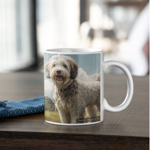 Max. Tasse der Bedrohung 5