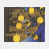 Maxfield Parrish Die Laternen Träger 1908 Vintage Fleecedecke (Vorderseite (Horizontal))