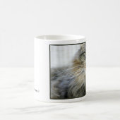 Maxie Tasse (Mittel)