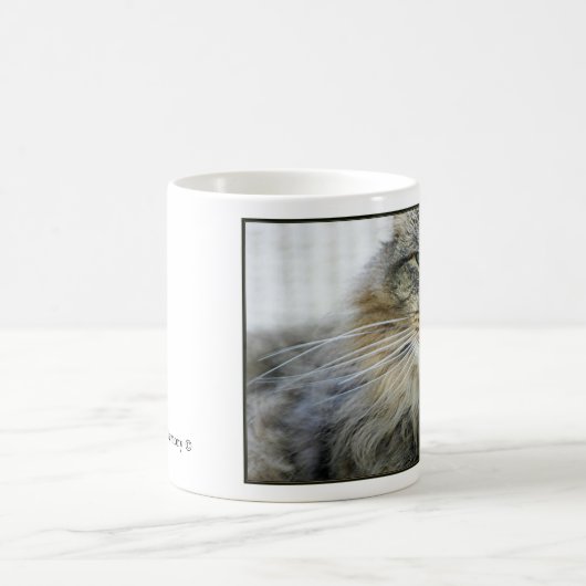 Maxie Tasse (Mittel)