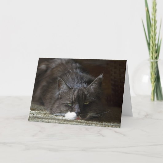 Maximal Karte (Vorderseite)