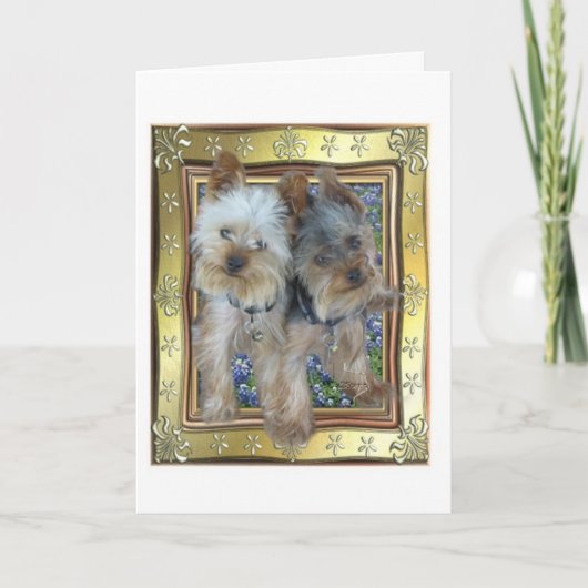 Maximale und Zach Karte (Vorderseite)