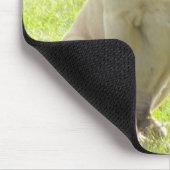 Maximaler, englischer Mastiff Mousepad (Ecke)