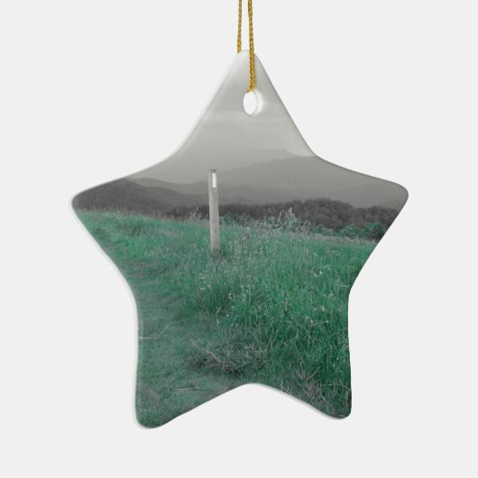 Maximaler Flecken Keramikornament (Rechts)