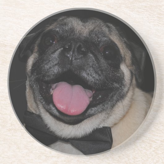 Maximaler Untersetzer (Vorne)