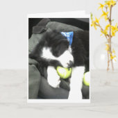 Maximaler Welpe Karte (Gelbe Blume)