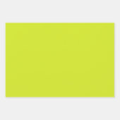 Maximalist Solid Fuchsia Bright Green Hot Pink Geschenkpapier Set (Vorderseite 2)