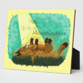 Maximierung des Sun-Spot Fotoplatte (Seite)