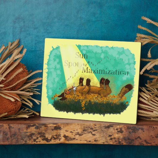 Maximierung des Sun-Spot Fotoplatte (Seite)