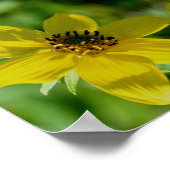 Maximilian Sonnenblume Abstrakt Poster (Ecke)