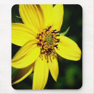 Maximilian Sunflower Blume Mousepad