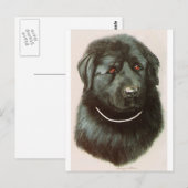 Maximillian Postkarte (Vorne/Hinten)