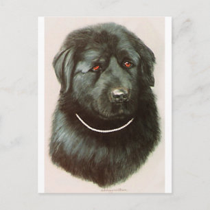 Maximillian Postkarte