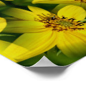 Maximillian Sonnenblume Abstract Poster (Ecke)