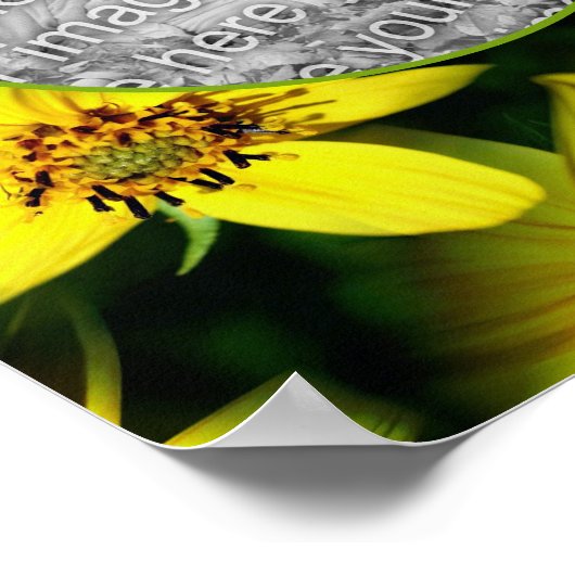 Maximillian Sonnenblumenrahmen Ihr eigenes Foto hi Poster (Ecke)