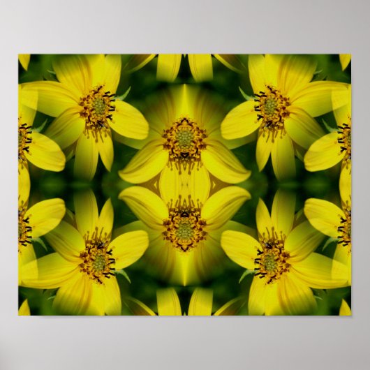 Maximillian Sunflower Abstrakt Poster (Vorne)