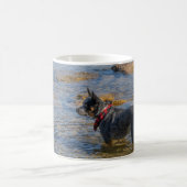 "Maximus" Blue Heeler Coffee Tasse (Mittel)