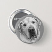 Maxwell, Labrador-Pitbull Mischung Button (Vorne & Hinten)