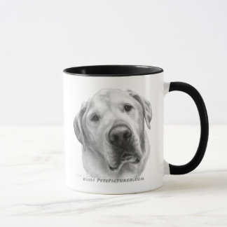 Maxwell, Labrador-Pitbull Mischung Tasse