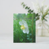 May Apple blühen Postkarte (Stehend Vorderseite)