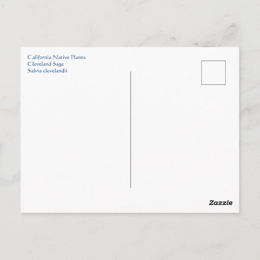 May Bee Postkarte (Rückseite)