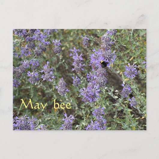 May Bee Postkarte (Vorderseite)