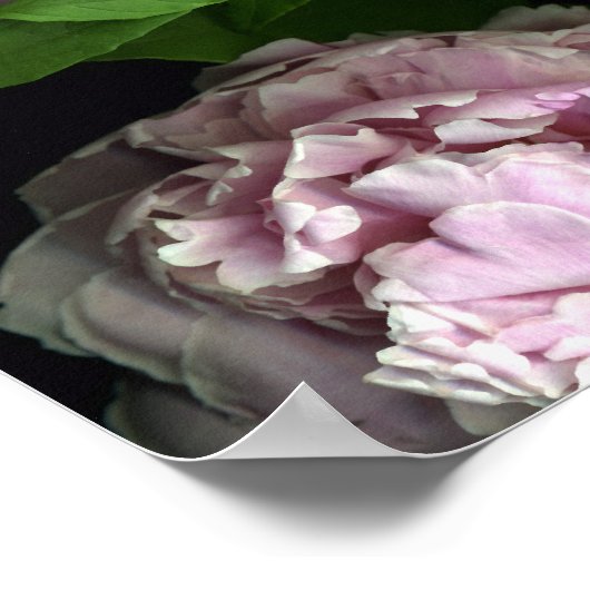 May Day Print Poster (Ecke)